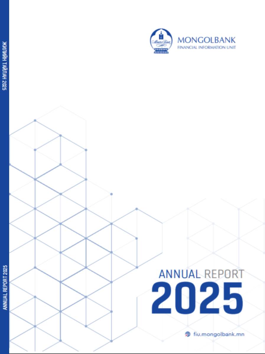 FIU Annual Report 2025
